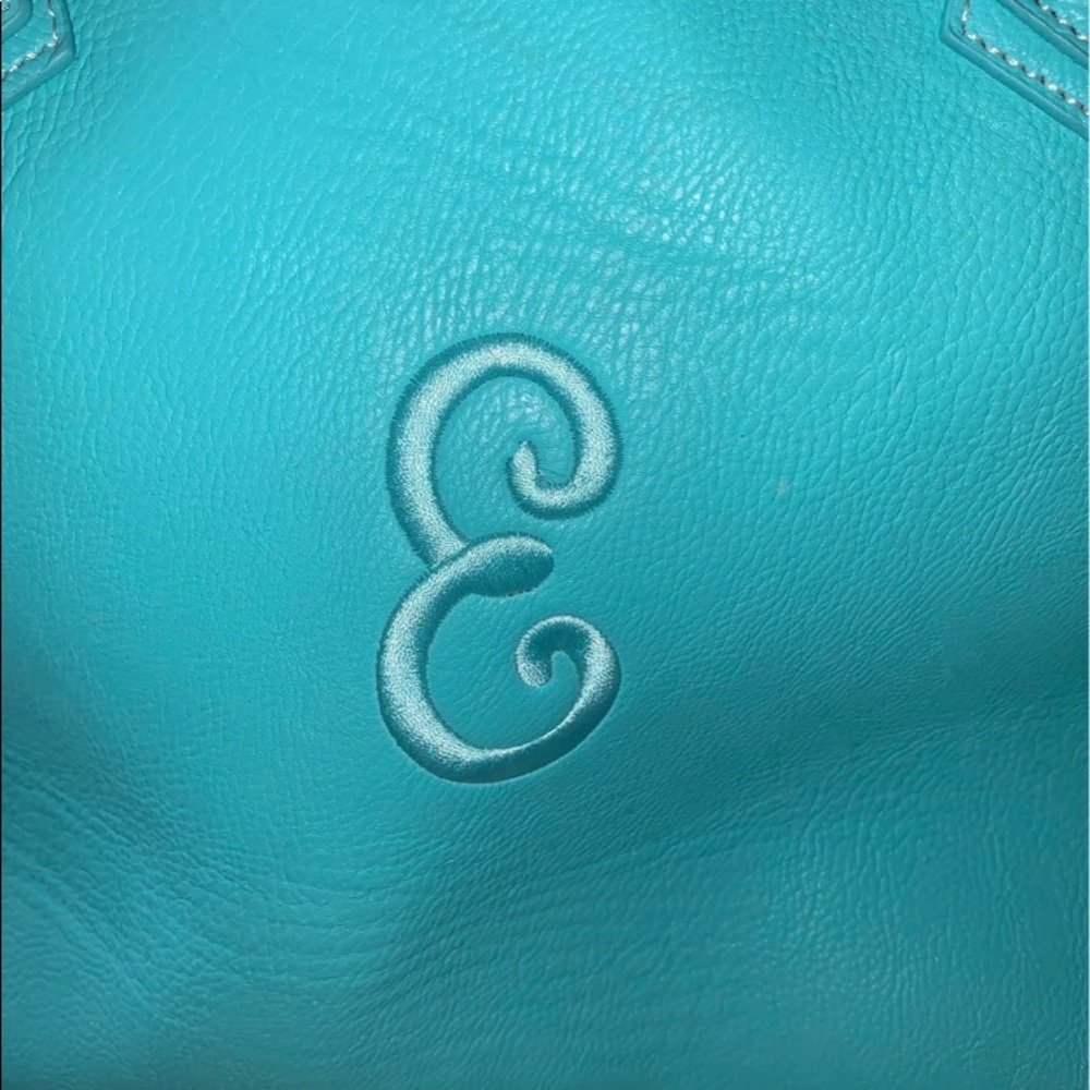 Intians inc E purse euc only used twice🟪 - Picture 2 of 7